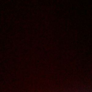 Meet your Posher, Autumn